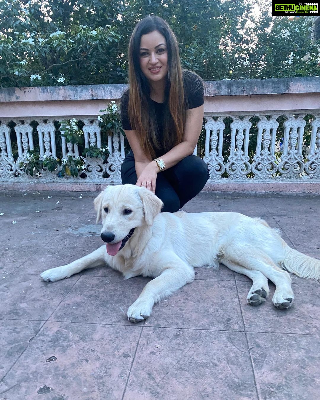 Maryam Zakaria Instagram - Good morning 😍❤️ . . #smile #puppylove #goldenretriever