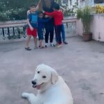 Maryam Zakaria Instagram - So much fun to dance with my @realaryanthakur and all my nephews. Rockys expression 😍❤️ . . #cutenessoverload #kids #reels #reelitfeelit #reelsinstagram #trending Pune, Maharashtra