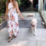 Maryam Zakaria Instagram - You can’t miss the end 😍❤️ . . #reels #trending #puppu #puppylove #goldenretriever #slomo #cutness #india #pune #dress #actress #influencer #dog Pune, Maharashtra