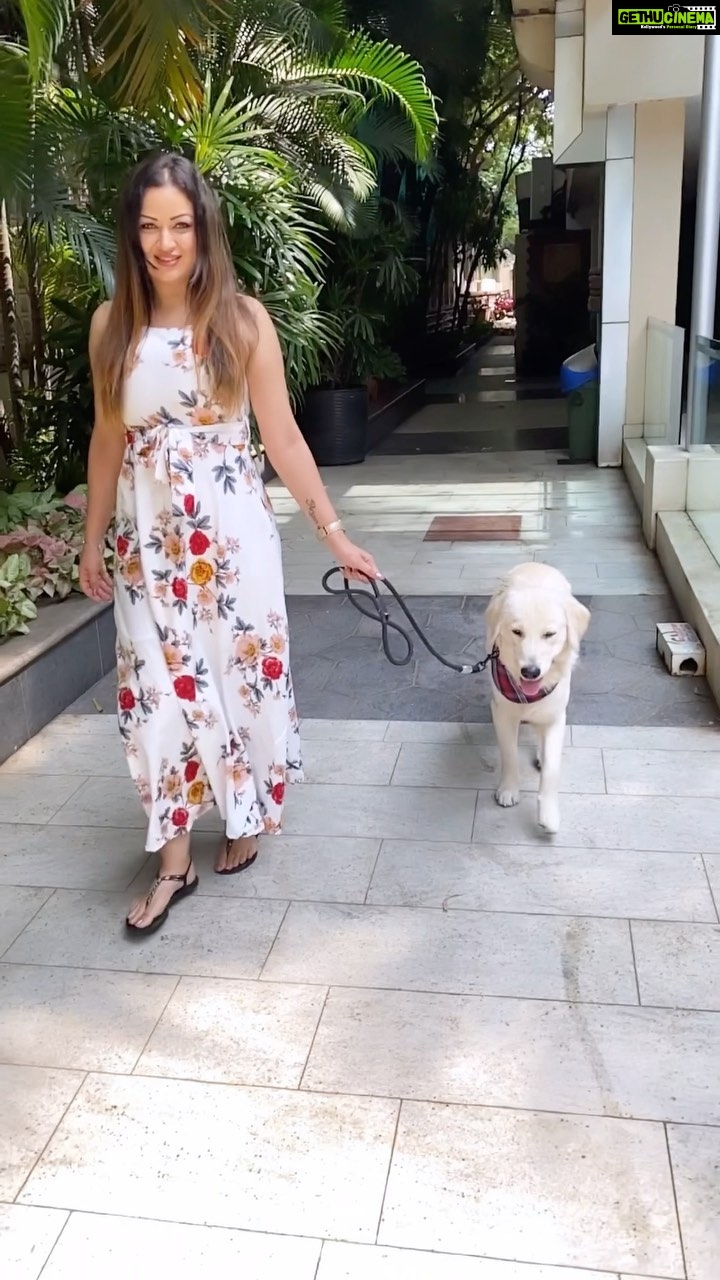 Maryam Zakaria Instagram - You can’t miss the end 😍❤️ . . #reels #trending #puppu #puppylove #goldenretriever #slomo #cutness #india #pune #dress #actress #influencer #dog Pune, Maharashtra