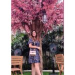 Maryam Zakaria Instagram - 💕💕🌸 #beautifullplace #foo #dress #pink #pose #photoshoot #model #actress #influencer #maryamzakaria