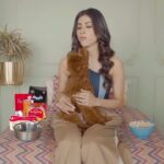 Mouni Roy Instagram - My relationship with my favourite boy Arthur! It’s at the top of my priority list to make sure he’s getting all the essential nutrients in his diet, that’s why I choose @Droolsindia ! Made with 100% real ingredients & 0 by products and fillers Choose Healthy. Choose Drools ❤️