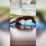 Naira Shah Instagram - Some aerial yoga and floor workouts with @soniajain_thinkingbodies #aerialyoga#strengthtraining#getstronger#2022#August#nairashah#trending Goa