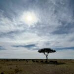 Nandita Das Instagram – In the wild. Random ones for now, but many more once back. What an experience this is! #masaimara #kenya