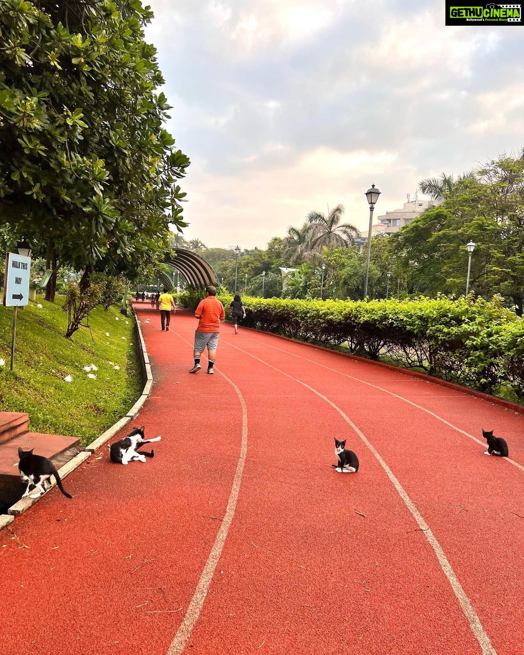 Nandita Das Instagram - I have finally started walking in the mornings. Just getting out of the house is tough but once that hurdle is overcome, it’s sheer joy. People as different as they can be from each other, cats and dogs, trees and flowers…life is beautiful subeh subeh. These photos don’t do justice. But between not infringing on other’s privacy and not taking out the phone, this is what I have to share of my last 3 days. #joggersparkbandra #walking #cat