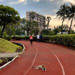 Nandita Das Instagram - I have finally started walking in the mornings. Just getting out of the house is tough but once that hurdle is overcome, it’s sheer joy. People as different as they can be from each other, cats and dogs, trees and flowers…life is beautiful subeh subeh. These photos don’t do justice. But between not infringing on other’s privacy and not taking out the phone, this is what I have to share of my last 3 days. #joggersparkbandra #walking #cat