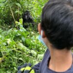 Nandita Das Instagram – Not done sharing about our trip. So next we went to Uganda. Small planes, grassland to hills and forests, long treks, fatigue…but all worth it. A once in a lifetime experience of being up close with the mountain #gorilla They look scary because of their size but we humans are more abusive and intrusive so they are rightly more scared of us. We did our best to not disturb them. They looked at us without much interest. Thankfully! #bwindi #uganda