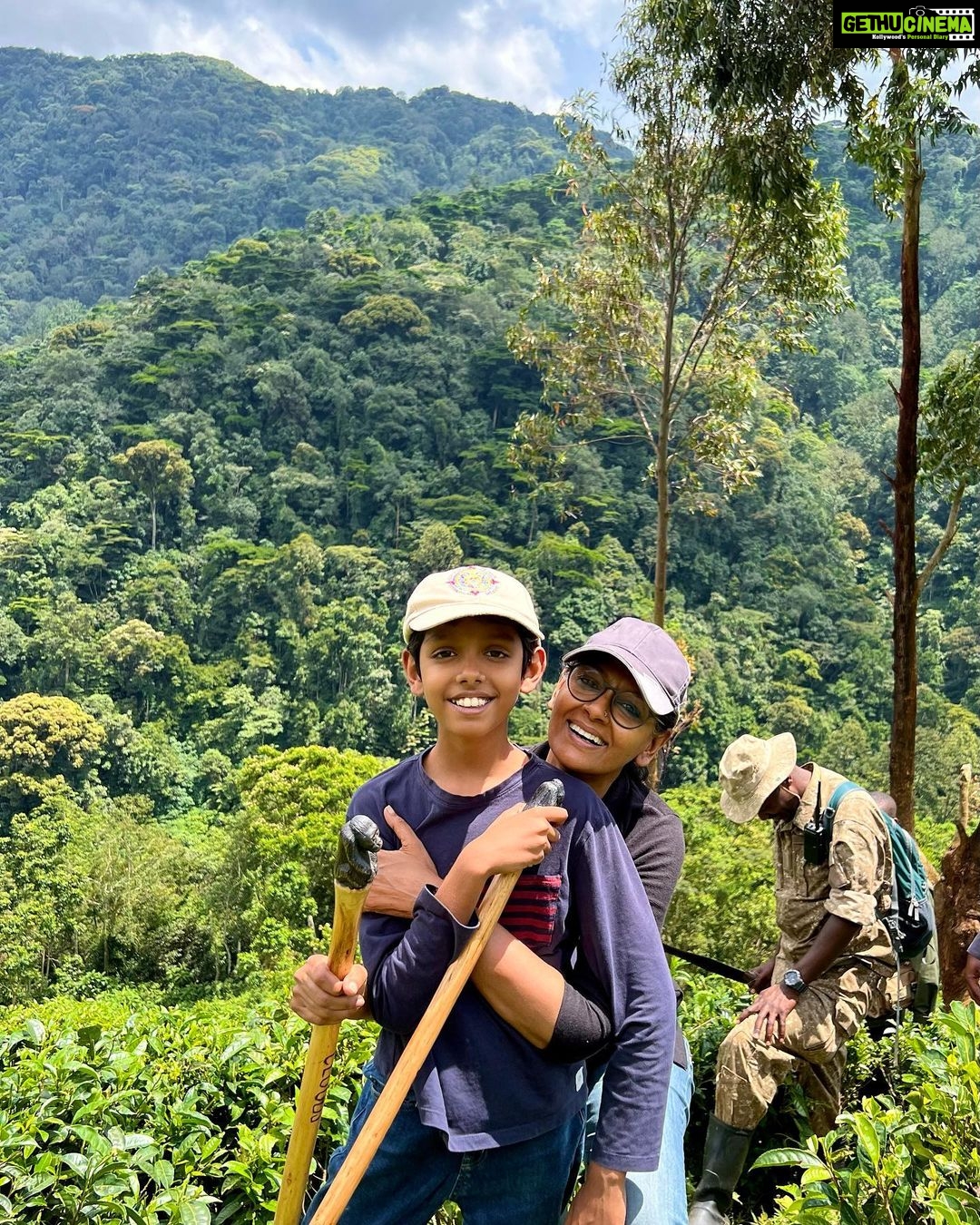 Nandita Das Instagram - Not done sharing about our trip. So next we went to Uganda. Small planes, grassland to hills and forests, long treks, fatigue…but all worth it. A once in a lifetime experience of being up close with the mountain #gorilla They look scary because of their size but we humans are more abusive and intrusive so they are rightly more scared of us. We did our best to not disturb them. They looked at us without much interest. Thankfully! #bwindi #uganda