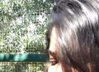 Neetha Ashok Instagram - A cute kiss from this cute little one 🥰 @prani_the_pet_sanctuary