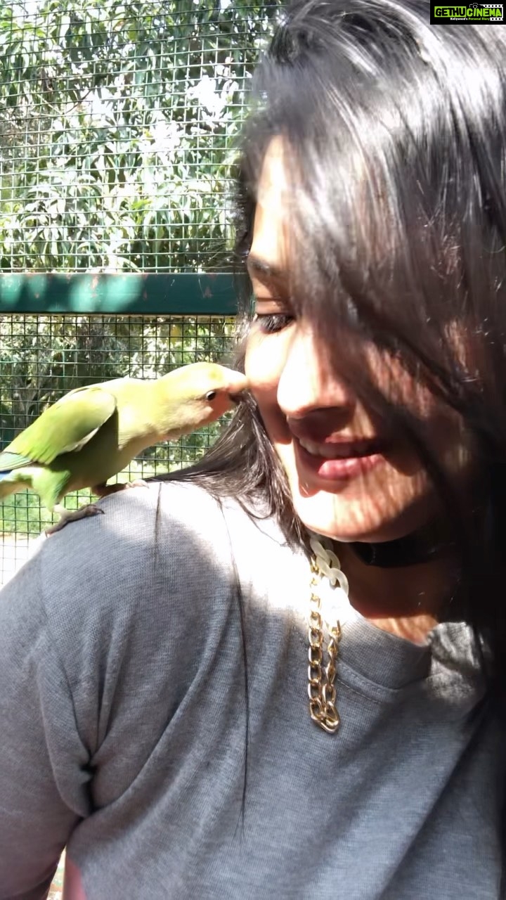 Neetha Ashok Instagram - A cute kiss from this cute little one 🥰 @prani_the_pet_sanctuary
