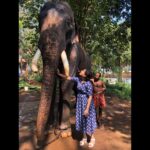 Neetha Ashok Instagram - RIP RaghuRam 🐘 You were my daily dose of happiness during our Kerala Schedule of Vikrant Rona ❤️ Ottappalam, Kerala, India
