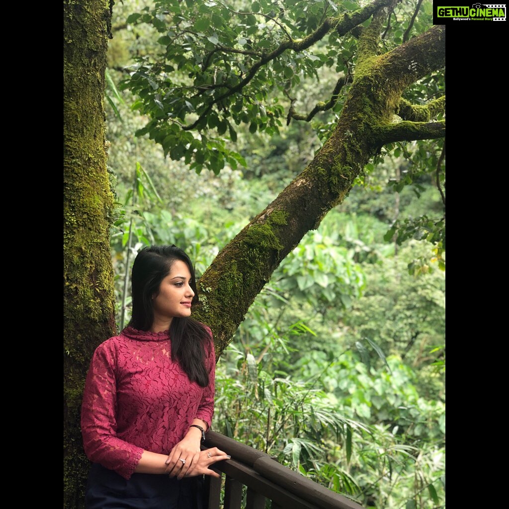 Neetha Ashok Instagram - My soul steers me into nature’s silence ♥️ The Tamara Coorg