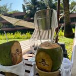 Neha Sharma Instagram - Whose ready for a picnic 💭🧺🐼🌴☀️ @stregisgoaresort #soulfulsaturday #live exquisite #goadiaries #goa #incredibleindia #travel #traveling The St. Regis Goa Resort