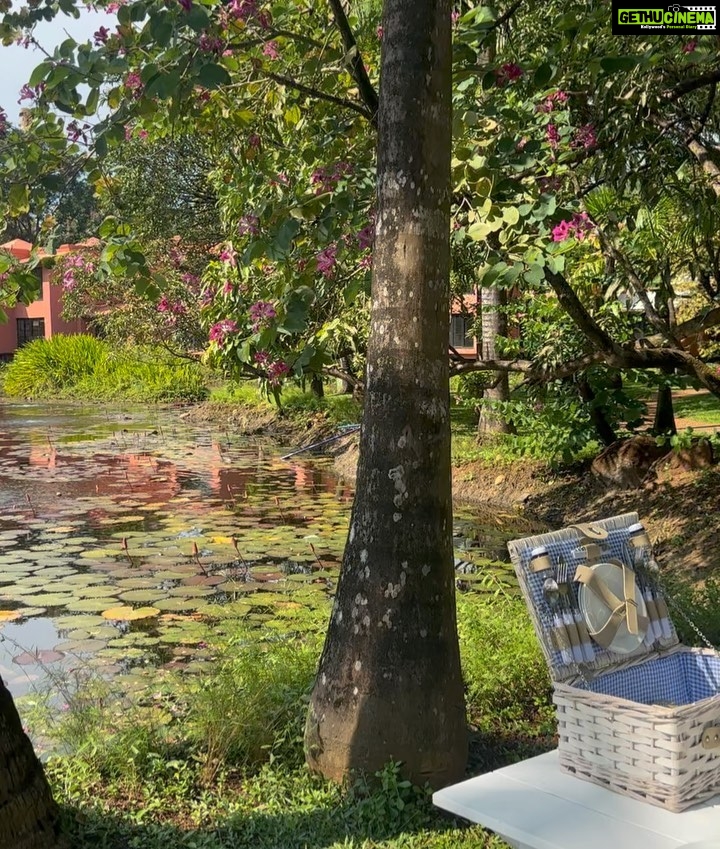Neha Sharma Instagram - Whose ready for a picnic ππ§ΊπΌπ΄βοΈ @stregisgoaresort #soulfulsaturday #live exquisite #goadiaries #goa #incredibleindia #travel #traveling The St. Regis Goa Resort