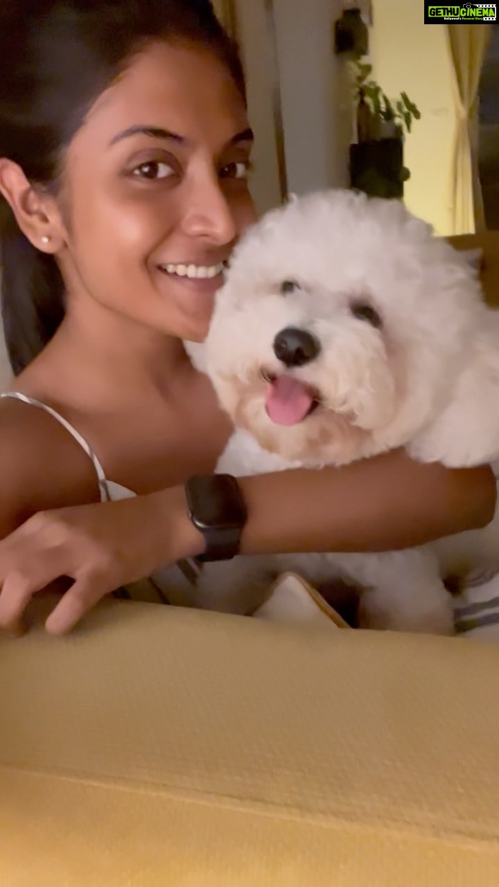 Nivedhithaa Sathish Instagram - I love you fur-real, @jonsnow.bichon ⛄️