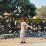 Noorin Shereef Instagram – 🕊🕊🕊Thank youuu Hyderabad for the beautiful treat.i took a lot of pictures but this feels the life🕊🕊🕊 Always a #shein  girl💋
Outfit by @sheinofficial 
Pc  @romariyo_paulson 
#hyderabad #audiolaunch #indi Hyderabad – Telagana