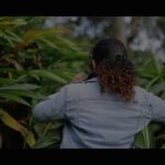 Noorin Shereef Instagram - dream begins with a dreamer: . @prayana360 Stay tuned ♥️ @daddymojo @mr.m_o_j_o @junuroosh_junu Kerala - God's Own Country