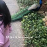 Panchi Bora Instagram - The answer to her whys!