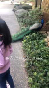 Panchi Bora Instagram - The answer to her whys!