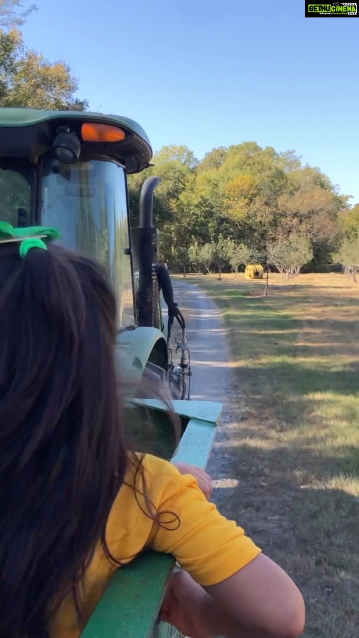 Panchi Bora Instagram - I love you baby! School trip Pumpkin patch 22’ 🎃