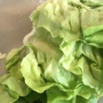Panchi Bora Instagram - That fresh crunchy sound thou’ When you check on you tube “how to chop lettuce “ ain’t that complicated 🥬 #learning #cookinghealthy