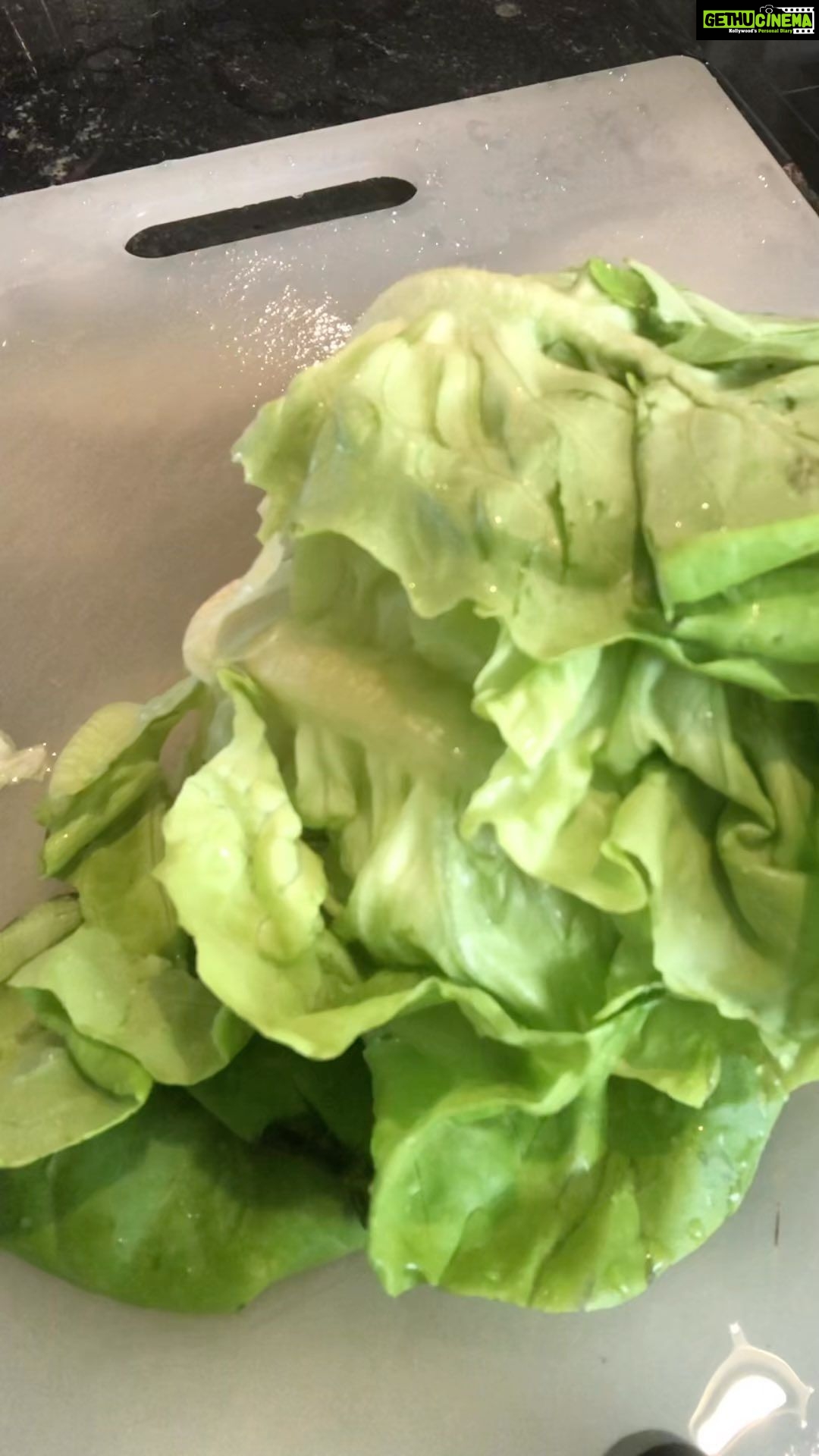 Panchi Bora Instagram - That fresh crunchy sound thou’ When you check on you tube “how to chop lettuce “ ain’t that complicated 🥬 #learning #cookinghealthy