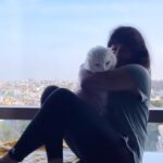 Pooja Devariya Instagram – This was a very special Chennai trip for us🤍✨🌸🐾🌈 

Sept, 2022

#ForeverRoomie #BabyRumi #travelreels #catstagram #catsofinstagram #travelcats #meow