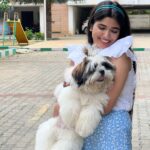 Pragya Nagra Instagram - PAWday 🐾 @noah_.thepuppy ❤️🌸 #dogs #dogsofinstagram #dog #dogstagram #puppy #doglover #dogoftheday #instadog #doglovers #doglife #pets #love #puppylove #puppies #pet #puppiesofinstagram #dogsofinsta #cute #instagram #of #petsofinstagram #dogslife #doggo #animals #ilovemydog #cats #doglove #petstagram #dogphotography #cutedogs @loki_.14 @lowkey_.14_ @_arha_.5 @arha____5