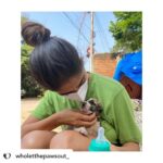 Priya Vadlamani Instagram - Posted @withregram • @wholetthepawsout_ They say its always easy to be ignorant, to not offend anyone by doing or saying nothing but once you encounter grief and pain, there's no going back. It gets impossible to abandon sorrow. You're immersed in guilt, regret and self loathing. What started as something to just feed dogs has brought me this far. Each one of us, have our tiny little paths of enlightenment where we understand life with a lot more depth and perspective. For me, my major perspectives on life, the way I'm leading it and how I choose to live in the coming future has been because of animals. They've taught me faith, kindness, humility, compassion and all I want to give them in return is love. Love, because the world can be a cruel cruel place. Love, because each one of us irrespective of the species deserves warmth and the feeling of home. I'd do everything in my power to cherish and protect them. My work would not have been alot for the world but with small steps, I do try to save. One life, at a time. As 24 carries me, I only hope the world turns a little more softer and kinder. I hope we push all the barriers, crash the boundaries and stay gentle in everything we do.