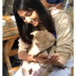 Priya Vadlamani Instagram - Today with @wholetthepawsout_ and @coffeeinachaicup .. Meet our boy mint🤍 📸 @sahaja_chowdary #indie #dogsofinstagram #adoptdontshop