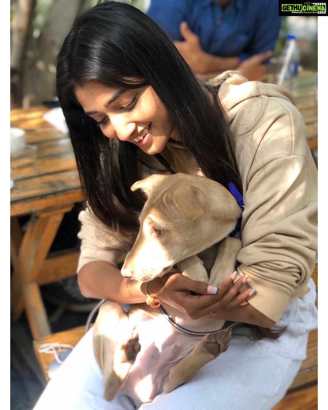 Priya Vadlamani Instagram - Today with @wholetthepawsout_ and @coffeeinachaicup .. Meet our boy mint🤍 📸 @sahaja_chowdary #indie #dogsofinstagram #adoptdontshop