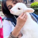 Priya Vadlamani Instagram - Happy Saturday 👻 Manali, Himachal Pradesh