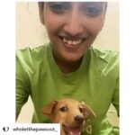 Priya Vadlamani Instagram - Posted @withregram • @wholetthepawsout_ They say its always easy to be ignorant, to not offend anyone by doing or saying nothing but once you encounter grief and pain, there's no going back. It gets impossible to abandon sorrow. You're immersed in guilt, regret and self loathing. What started as something to just feed dogs has brought me this far. Each one of us, have our tiny little paths of enlightenment where we understand life with a lot more depth and perspective. For me, my major perspectives on life, the way I'm leading it and how I choose to live in the coming future has been because of animals. They've taught me faith, kindness, humility, compassion and all I want to give them in return is love. Love, because the world can be a cruel cruel place. Love, because each one of us irrespective of the species deserves warmth and the feeling of home. I'd do everything in my power to cherish and protect them. My work would not have been alot for the world but with small steps, I do try to save. One life, at a time. As 24 carries me, I only hope the world turns a little more softer and kinder. I hope we push all the barriers, crash the boundaries and stay gentle in everything we do.