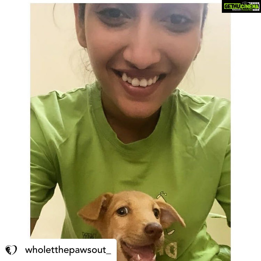Priya Vadlamani Instagram - Posted @withregram • @wholetthepawsout_ They say its always easy to be ignorant, to not offend anyone by doing or saying nothing but once you encounter grief and pain, there's no going back. It gets impossible to abandon sorrow. You're immersed in guilt, regret and self loathing. What started as something to just feed dogs has brought me this far. Each one of us, have our tiny little paths of enlightenment where we understand life with a lot more depth and perspective. For me, my major perspectives on life, the way I'm leading it and how I choose to live in the coming future has been because of animals. They've taught me faith, kindness, humility, compassion and all I want to give them in return is love. Love, because the world can be a cruel cruel place. Love, because each one of us irrespective of the species deserves warmth and the feeling of home. I'd do everything in my power to cherish and protect them. My work would not have been alot for the world but with small steps, I do try to save. One life, at a time. As 24 carries me, I only hope the world turns a little more softer and kinder. I hope we push all the barriers, crash the boundaries and stay gentle in everything we do.