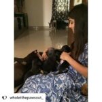 Priya Vadlamani Instagram - Posted @withregram • @wholetthepawsout_ They say its always easy to be ignorant, to not offend anyone by doing or saying nothing but once you encounter grief and pain, there's no going back. It gets impossible to abandon sorrow. You're immersed in guilt, regret and self loathing. What started as something to just feed dogs has brought me this far. Each one of us, have our tiny little paths of enlightenment where we understand life with a lot more depth and perspective. For me, my major perspectives on life, the way I'm leading it and how I choose to live in the coming future has been because of animals. They've taught me faith, kindness, humility, compassion and all I want to give them in return is love. Love, because the world can be a cruel cruel place. Love, because each one of us irrespective of the species deserves warmth and the feeling of home. I'd do everything in my power to cherish and protect them. My work would not have been alot for the world but with small steps, I do try to save. One life, at a time. As 24 carries me, I only hope the world turns a little more softer and kinder. I hope we push all the barriers, crash the boundaries and stay gentle in everything we do.