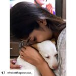Priya Vadlamani Instagram - Posted @withregram • @wholetthepawsout_ They say its always easy to be ignorant, to not offend anyone by doing or saying nothing but once you encounter grief and pain, there's no going back. It gets impossible to abandon sorrow. You're immersed in guilt, regret and self loathing. What started as something to just feed dogs has brought me this far. Each one of us, have our tiny little paths of enlightenment where we understand life with a lot more depth and perspective. For me, my major perspectives on life, the way I'm leading it and how I choose to live in the coming future has been because of animals. They've taught me faith, kindness, humility, compassion and all I want to give them in return is love. Love, because the world can be a cruel cruel place. Love, because each one of us irrespective of the species deserves warmth and the feeling of home. I'd do everything in my power to cherish and protect them. My work would not have been alot for the world but with small steps, I do try to save. One life, at a time. As 24 carries me, I only hope the world turns a little more softer and kinder. I hope we push all the barriers, crash the boundaries and stay gentle in everything we do.