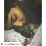 Priya Vadlamani Instagram – Posted @withregram • @wholetthepawsout_ They say its always easy to be ignorant, to not offend anyone by doing or saying nothing but once you encounter grief and pain, there’s no going back. It gets impossible to abandon sorrow. You’re immersed in guilt, regret and self loathing.

What started as something to just feed dogs has brought me this far. Each one of us, have our tiny little paths of enlightenment where we understand life with a lot more depth and perspective. For me, my major perspectives on life, the way I’m leading it and how I choose to live in the coming future has been because of animals. They’ve taught me faith, kindness, humility, compassion and all I want to give them in return is love. Love, because the world can be a cruel cruel place. Love, because each one of us irrespective of the species deserves warmth and the feeling of home. I’d do everything in my power to cherish and protect them. 
My work would not have been alot for the world but with small steps, I do try to save. One life, at a time. 
As 24 carries me, I only hope the world turns a little more softer and kinder. I hope we push all the barriers, crash the boundaries and stay gentle in everything we do.