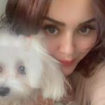 Ragini Nandwani Instagram - My life My world #max #maltese #celebrity #petsofinstagram #cuteness #love #ganpatibappamorya #festival #reelsinstagram #latest #happiness #mumbai #august #birthday #cutereels #bollywood #mollywood #southactress #malyalam #tamil #telugu