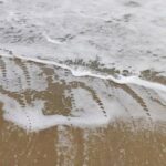 Rekha Krishnappa Instagram - A day on the beach @vasantha_kumarv . . . #beachfun #realcouple #funreels #ɪɴsᴛᴀʀᴇᴇʟs #reelsinsta Chennai, India