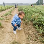 Richa Gangopadhyay Instagram - *BRB, doing Oregon things* A perfect, PNW misty-breezy, summer day picking berries 🧺 with friends at Hoffman Farms. I have never tasted strawberries 🍓 so sweet in my life and will never buy them from a store again! Luca is obsessed with blueberries so needless to say, his tummy was satisfied! 🫐 It's crazy how you get to experience "Oregon life" just minutes outside the city. One moment you're in Portland, the next, you're in vast, rural farmland. There's always so much to do, we wanted to make up, this summer, for the last 2 years of staying cooped up (because of this thing called Covid) and take advantage of all the fun stuff this underrated state has to offer. Luca's soaking it all in and, dad, of course, called it from the very beginning (trust me, it was hard to drag this Michigander away from where she grew up!). I've lived in Oregon now for close to 4 years, and though initially I wasn't so sure, I know I'm never leaving 🏞. For our out-of-state friends who still need convincing to come visit us *ahem ahem*, I'm a walking billboard for this place so get over here already! #oregon #pnw #berrypicking #organicberries #hoffmanfarms #oregonlife #oregonsummer #pdxsummer #portland #family #toddler #berryfarm Hoffman Farms Store