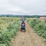 Richa Gangopadhyay Instagram - *BRB, doing Oregon things* A perfect, PNW misty-breezy, summer day picking berries 🧺 with friends at Hoffman Farms. I have never tasted strawberries 🍓 so sweet in my life and will never buy them from a store again! Luca is obsessed with blueberries so needless to say, his tummy was satisfied! 🫐 It's crazy how you get to experience "Oregon life" just minutes outside the city. One moment you're in Portland, the next, you're in vast, rural farmland. There's always so much to do, we wanted to make up, this summer, for the last 2 years of staying cooped up (because of this thing called Covid) and take advantage of all the fun stuff this underrated state has to offer. Luca's soaking it all in and, dad, of course, called it from the very beginning (trust me, it was hard to drag this Michigander away from where she grew up!). I've lived in Oregon now for close to 4 years, and though initially I wasn't so sure, I know I'm never leaving 🏞️. For our out-of-state friends who still need convincing to come visit us *ahem ahem*, I'm a walking billboard for this place so get over here already! #oregon #pnw #berrypicking #organicberries #hoffmanfarms #oregonlife #oregonsummer #pdxsummer #portland #family #toddler #berryfarm Hoffman Farms Store