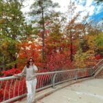 Ritu Varma Instagram - Throwback to some autumness 🍁