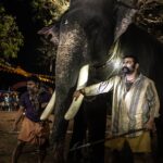 Roshna Ann Roy Instagram – 🤍
അംമ്പി @kichutellus
💥💥💥💥💥💥🖤 🐘🐘🐘 നടക്കൽ 🤍🐘 #നെയ്‌ശ്ശേരിപാർദ്ധൻ 🤎🦾🎥
@sinoj_varghese_
ജോളി 😂
@arjunkallingal