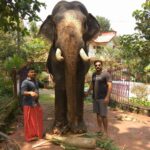 Roshna Ann Roy Instagram - Real Ambi & LALI" #ajagajandharammovie