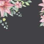 Roshna Ann Roy Instagram -