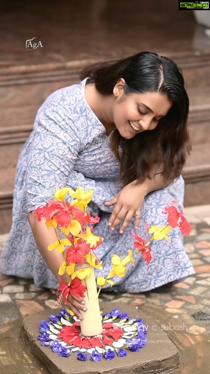Roshna Ann Roy Instagram - New generation ഓണത്തിൽ നിന്നു പഴമയിലേക്കൊരു എത്തി നോട്ടം 🙏🏻.... 🌻🥀🌺🏵️🌸🌾🌾🌾🌾.... Concept : ഈ ഞാൻ തന്നെ Dop : @pranavcsubash_photography Cuts : @abhishek.g_a ഈ പ്രാവശ്യം concept ഒന്ന് മാറ്റി പിടിച്ചു , ഞാൻ എന്റെ കുട്ടികാലത്തെ ഓർമകളിലേക്ക് തിരിച്ചു ചെന്ന ഒരു feel, so ഇതൊക്കെ ഇപ്പൊ ആർക്കാണ് അറിയുന്നത്, അതോണ്ട് പൂക്കളത്തിന് പിന്നിലെ കഥ പറയാം.. 🥰 🌼🌼🌼🌼🌼🌼🌼🌼🌼🌼🌼🌼 അത്തം നാളിൽ തുമ്പപ്പൂ ഇട്ടാണ് പൂക്കളം ഒരുക്കാൻ ആരംഭിക്കുന്നത്. പിന്നീട് തുളസിപ്പൂവും പൂക്കളം ഇടാൻ ഉപയോഗിക്കുന്നു. അത്തം, ചിത്തിര നാളിൽ ഈ രണ്ട് പൂക്കൾ മാത്രമാണ് ഉപയോഗിക്കുന്നത്. മൂന്നാം ദിവസം മുതലാണ് നിറങ്ങളുള്ള പൂക്കൾ ഉപയോഗിച്ച് പൂക്കളം ഇടുന്നത്. തുടർന്ന് അഞ്ചാം ദിവസം പൂക്കളത്തിൻ്റെ മുന്നിലായി കുടകുത്തും. ഒരു ഈർക്കിലിയെടുത്ത് അതിൽ ചെമ്പരത്തി, മറ്റ് പൂക്കൾ എന്നിവ കോർക്കുന്നതിനെയാണ് കുട വയ്ക്കുക എന്നു പറയുന്നത്. ആറാം ദിവസം പൂക്കളത്തിൻ്റെ നാല് ദിക്കിലും കാൽ നീട്ടും (വലിപ്പം കൂട്ടും). ഉത്രാട നാളിലാണ് ഏറ്റവും വലിയ പൂക്കളം ഒരുക്കുന്നത്.❤️ അപ്പൊ ഇതൊക്കെയാണ് കാര്യങ്ങൾ... ഓണത്തിന് ഓരോ വര്ഷം ചെല്ലുന്തോറും പുതുമ കൂടുകയാണ് ചെയ്യുന്നത്. ശരിക്കും പഴമയുടെ ആഘോഷമാണ് ഓരോ ഓണവും. എന്നാല് നമ്മളില് ന്യൂജനറേഷന് ഓണമാണ് ഓരെ വര്ഷം കഴിയുന്തോറും ആഘോഷിക്കുന്നത്. ഓണം എന്നതിലുപരി വെറുമൊരു ആഘോഷം എന്ന ലെവലിലേക്കാണ് പോക്ക് അപ്പൊ ഈ പ്രാവശ്യം ഓണത്തിന് ഇതൊക്കെ കണ്ടു ആർക്കേലും inspired ആകുവാണേൽ നല്ലതല്ലേ ...❤️💯 ഏവർക്കും എന്റെയും കുടുംബത്തിന്റെയും അത്തം ദിന ആശംസകൾ.. 🌻🌻🌻 Music cuts : @mr.attitu_d Original : sithra krishnakumar #atham #reelsmalayalam #onam #onamsaree #pookkalam #atham #keralaattraction #treding #instagram #reelsmalayalam #vallamkali #onathappan #onamsaree #onamcelebration
