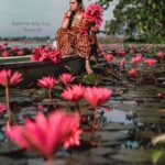 Roshna Ann Roy Instagram - With out The water 🌷🌸, lillie's cannot survive🍂🍂😖,as i am without my passion ❤#malarikkal_village_tourism🚴‍♂️ @beniveesjo @arun_manuel_ @prmakeupstudio @emin_thahar ✌💖#naturephotography #photoshoot #waterlily #ambal#malarikkal #roshnaannroy