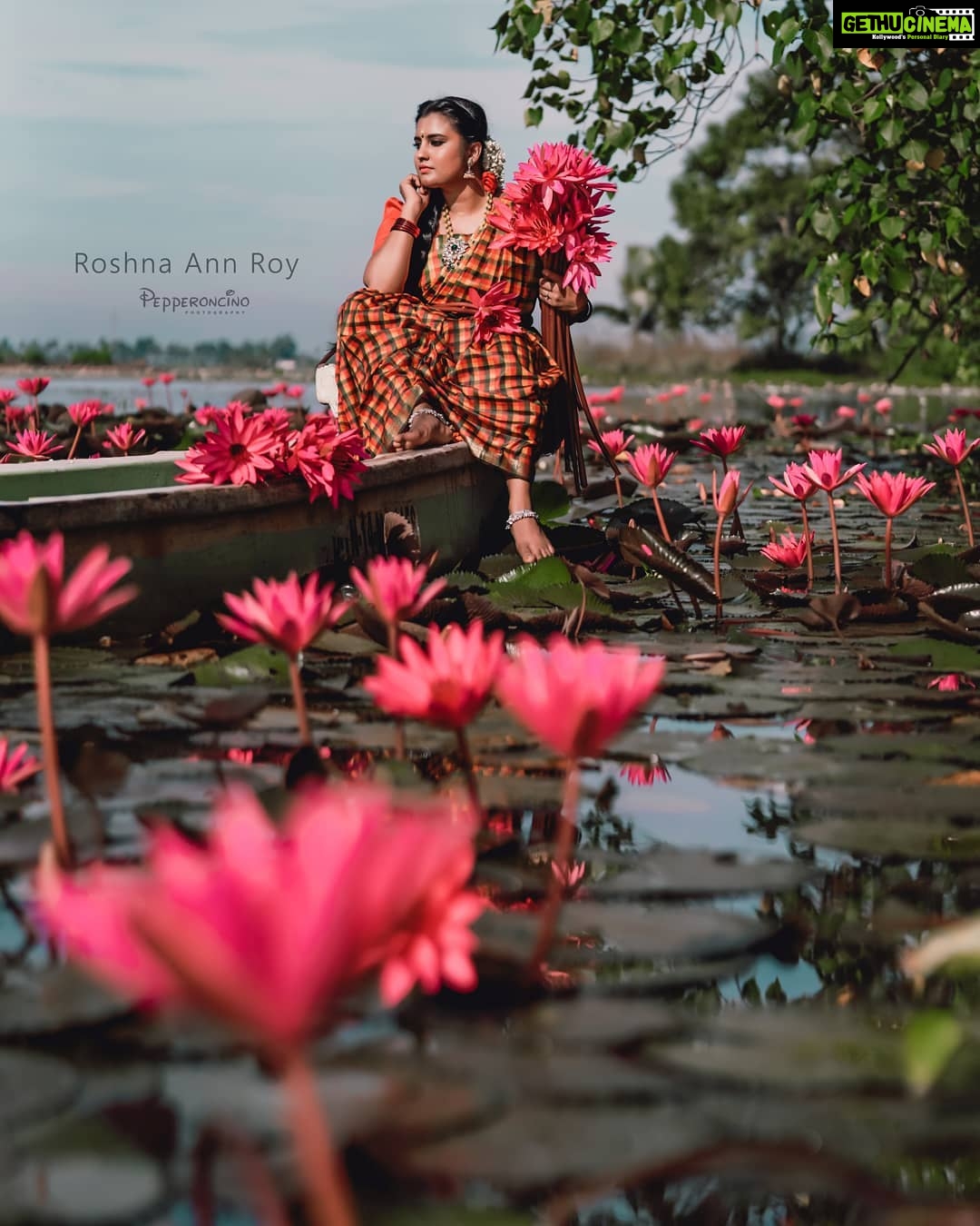 Roshna Ann Roy Instagram - With out The water ๐ท๐ธ, lillie's cannot survive๐๐๐,as i am without my passion โค#malarikkal_village_tourism๐ดโโ๏ธ @beniveesjo @arun_manuel_ @prmakeupstudio @emin_thahar โ๐#naturephotography #photoshoot #waterlily #ambal#malarikkal #roshnaannroy