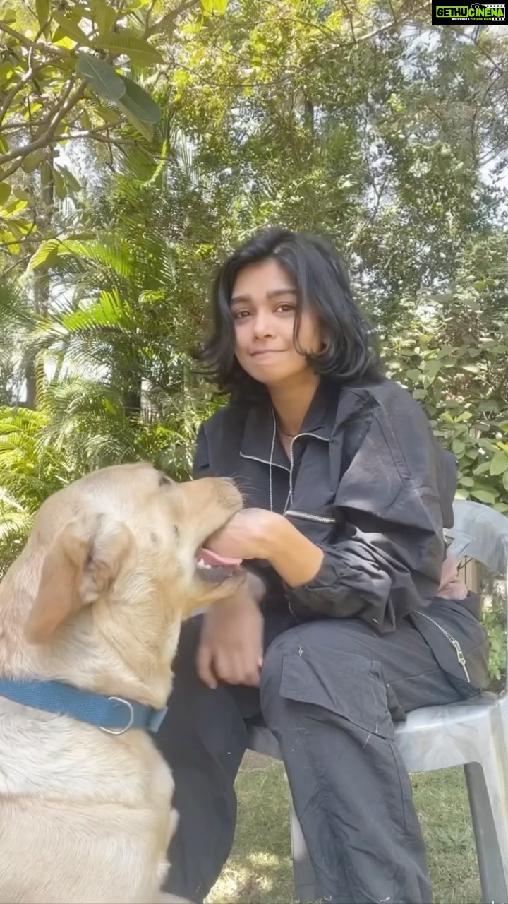 Sakshi Pradhan Instagram - #Mischiefthedog π π ππ½ββοΈ #animallanguage ππ»ββοΈππ .. .. .. .. .. .. .. .. .. .. .. .. .. .. .. #instagood #instagramdogs #mischief #naughty #reels #trendingreels #trendingnow #dogsofinstagram #trainingday #madhuman #maddog #reelitfeelit