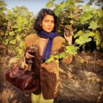 Sakshi Pradhan Instagram - whatever you do Pour yourself into it 🍇 #vineyard #exploreindia